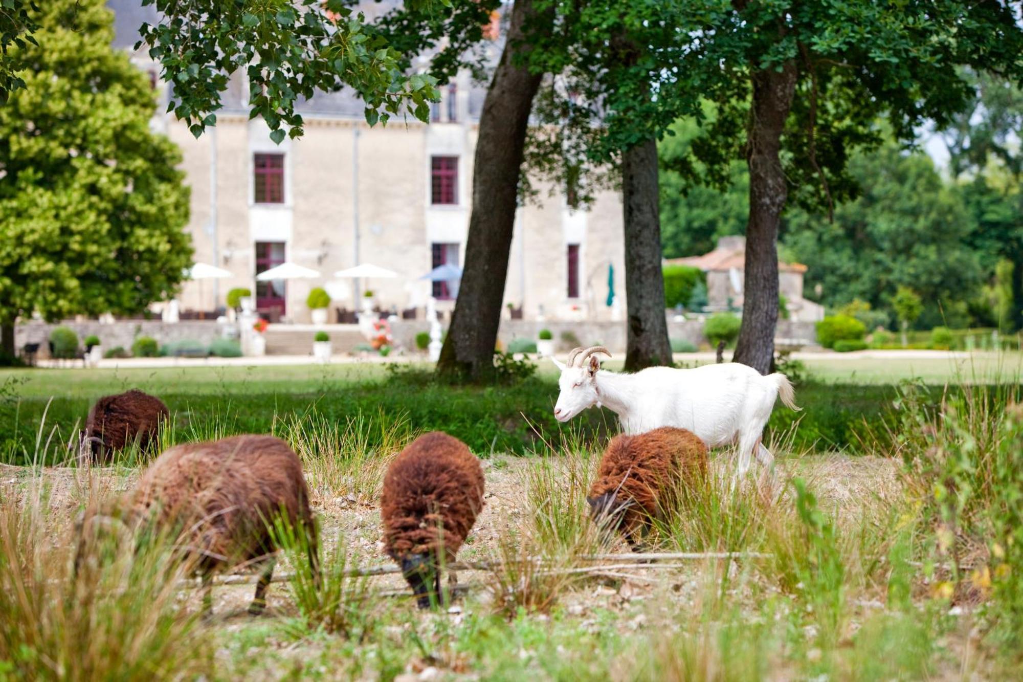 Hotel Chateau De La Verie Challans